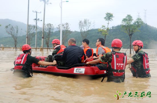 被困者登上水陆两栖救援车。 